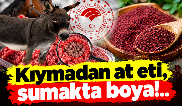 Kıymadan at eti, sumakta boya!..