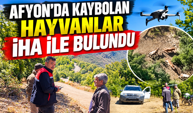 Afyon’da kaybolan hayvanlar İHA ile bulundu