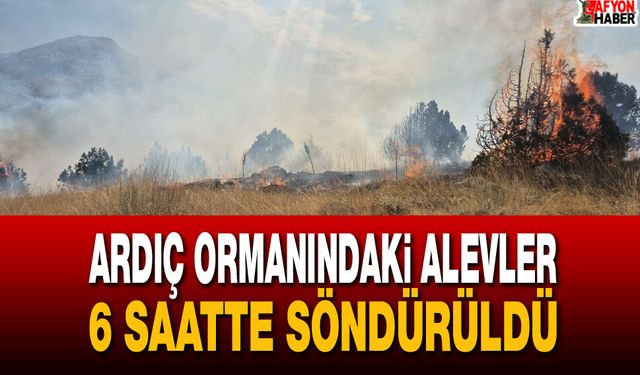 Isparta’da orman yangını!