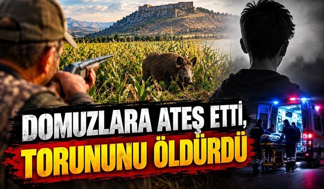 Domuza ateş etmek isterken torununu kazara öldürdü