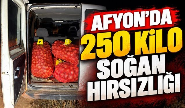 Afyon’da 250 Kilo Soğan Hırsızlığı