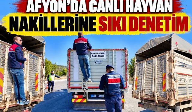 Afyon’da canlı hayvan nakillerine sıkı denetim