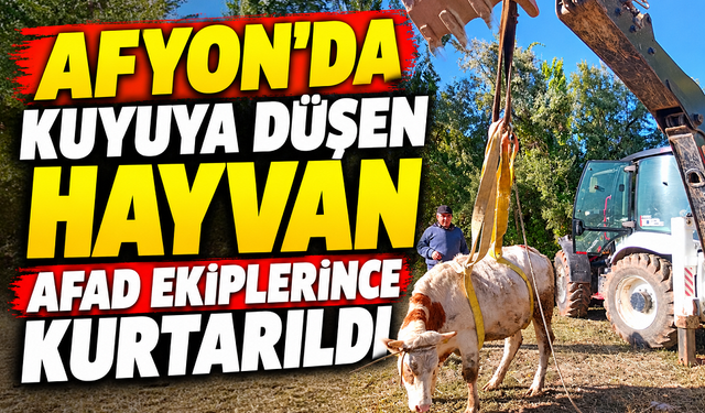 Afyon’da Kuyuya Düşen Hayvan AFAD Ekiplerince Kurtarıldı