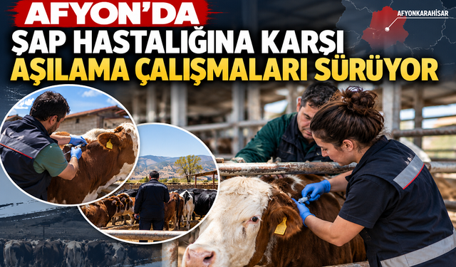 Afyon’da şap hastalığına çalışmalar sürüyor
