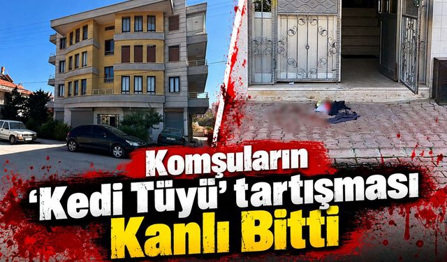 Komşuların 'kedi tüyü' tartışması kanlı bitti