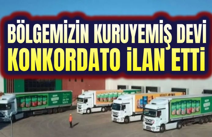 Kuruyemiş devi konkordato ilan etti