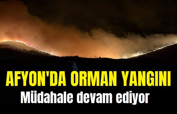 Afyon'da orman yangını: Müdahale devam ediyor