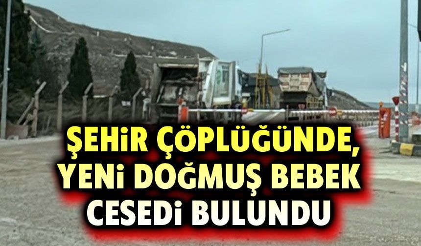 Şehir çöplüğünde yeni doğmuş bebek cesedi bulundu