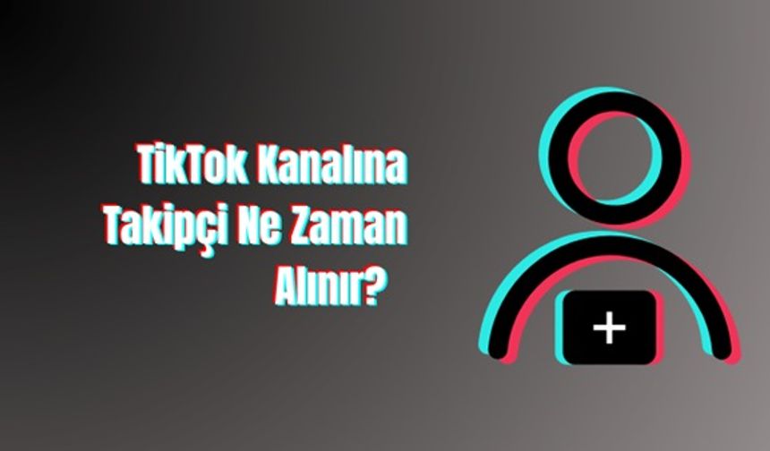 TikTok Kanalına Takipçi Ne Zaman Alınır?
