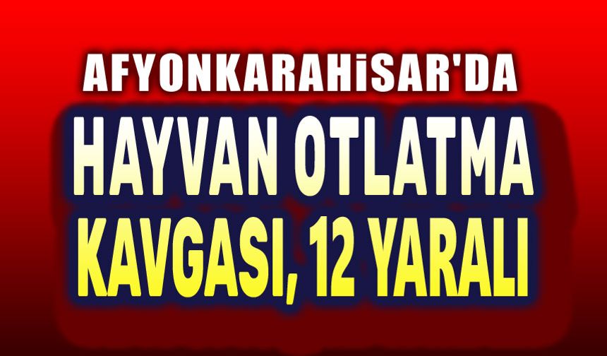 Afyon'da hayvan otlatma kavgası, 12 yaralı