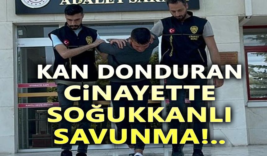 Kan donduran cinayette sanıktan mahkemede soğukkanlı savunma