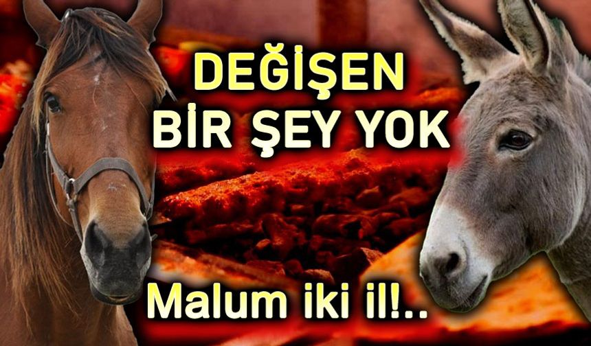 Yine skandal: Vatandaşa at eşek eti yedirdiler