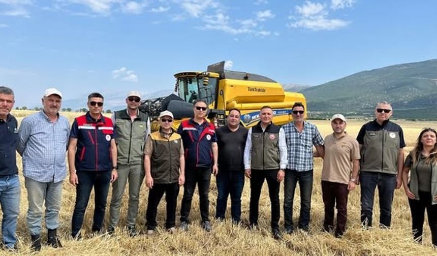Afyon’da hububat hasadı başladı