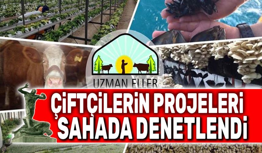 Çiftçilerin projelerini sahada denetledi