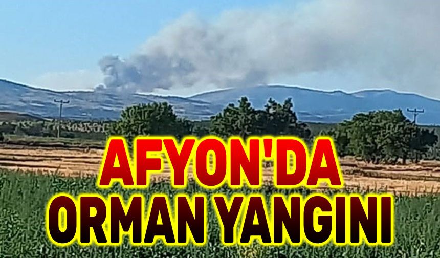 Afyon'da orman yangını