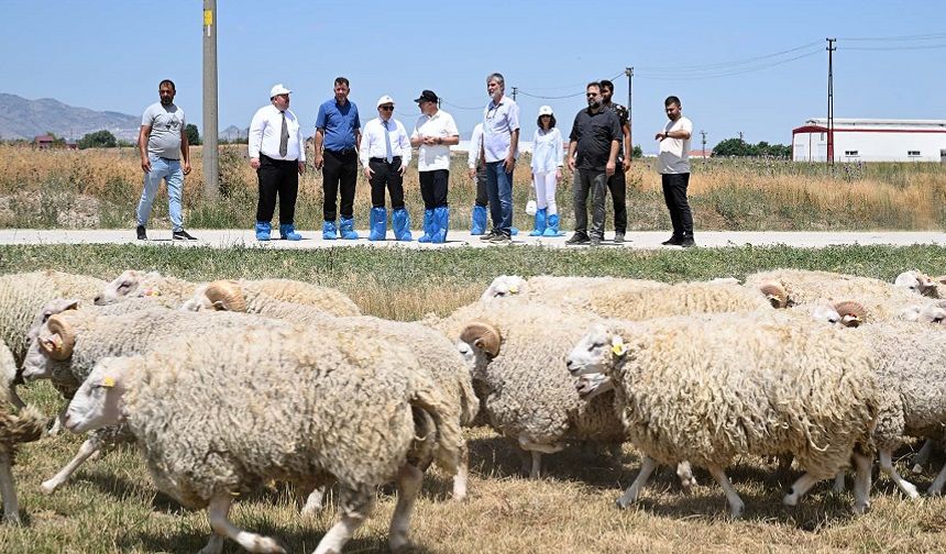 Mehmet Siper’den Eğitim, Araştırma ve Uygulama Çiftliğine ziyaret