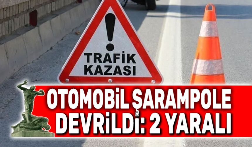 Otomobil şarampole devrildi, 2 kişi yaralandı