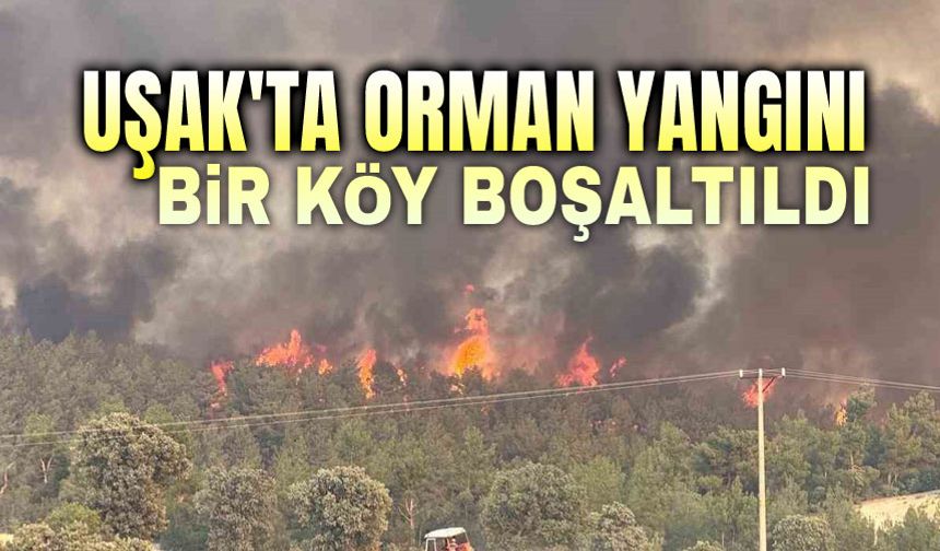Uşak'ta orman yangını, bir köy tahliye edildi