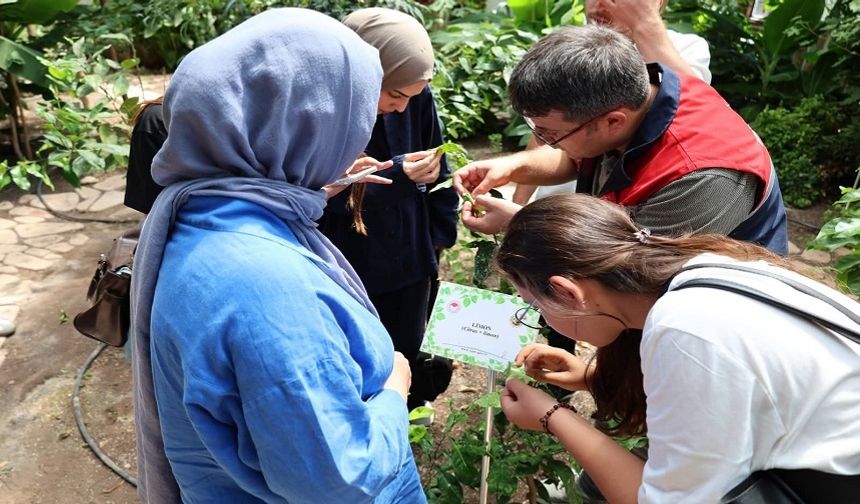 Öğrenciler Afyonkarahisar Tıbbi ve Aromatik Bitkiler Merkezi'ni gezdi