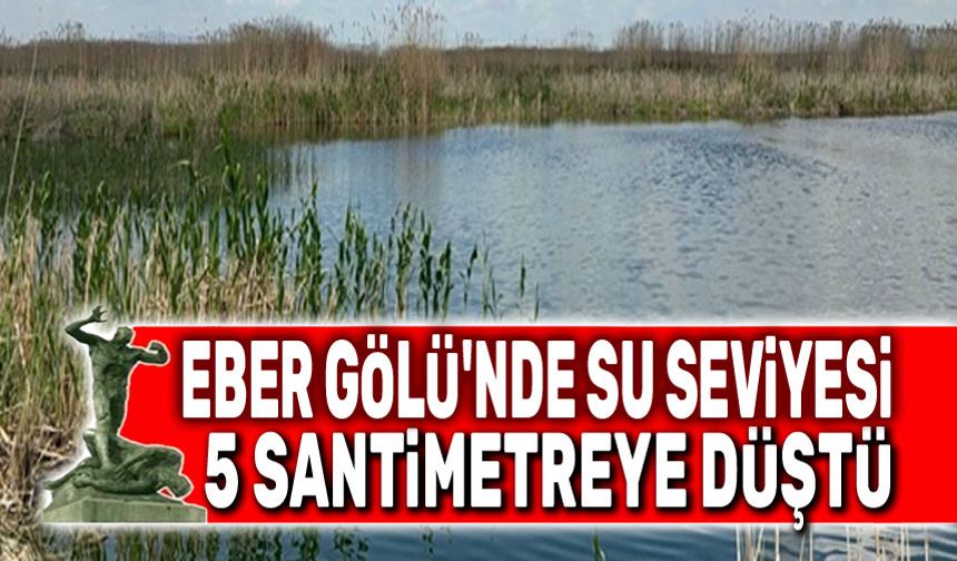 Eber Gölü'nde su seviyesi 5 santimetreye düştü