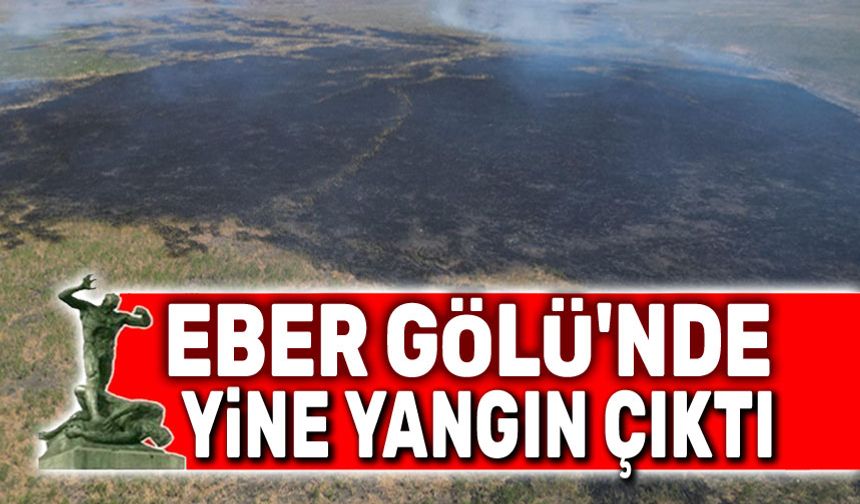 Eber Gölü'nde yine yangın çıktı