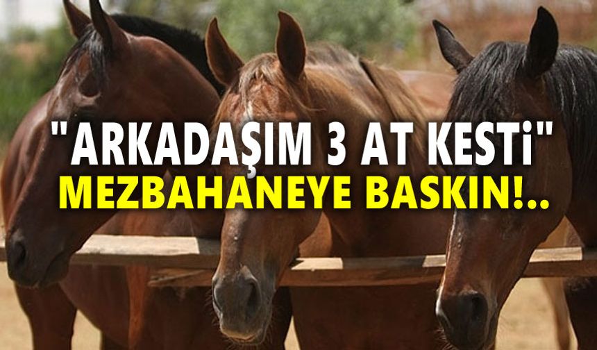 Mezbahaneye baskın: At kesip piyasaya sürmüşler!..