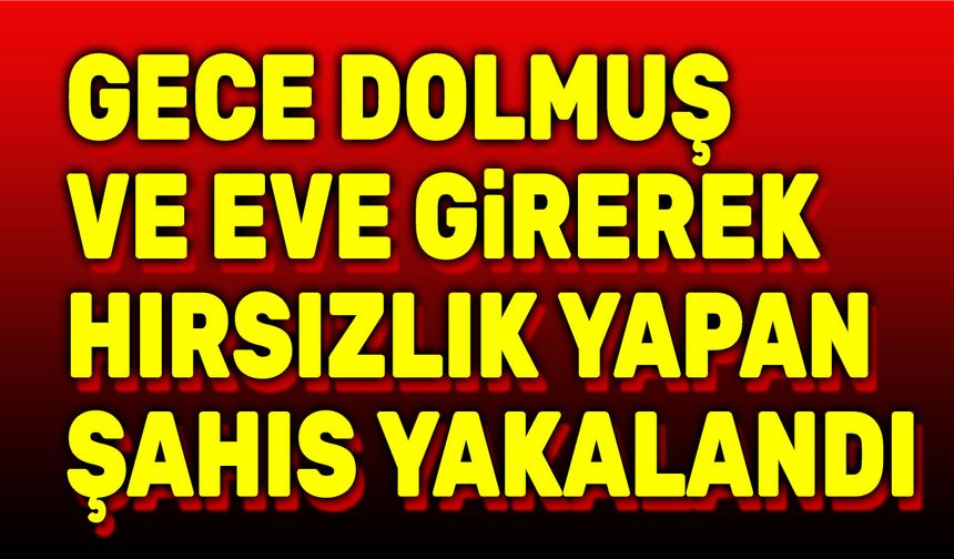 Dolmuş ve evden hırsızlık yapan şahıs yakalandı