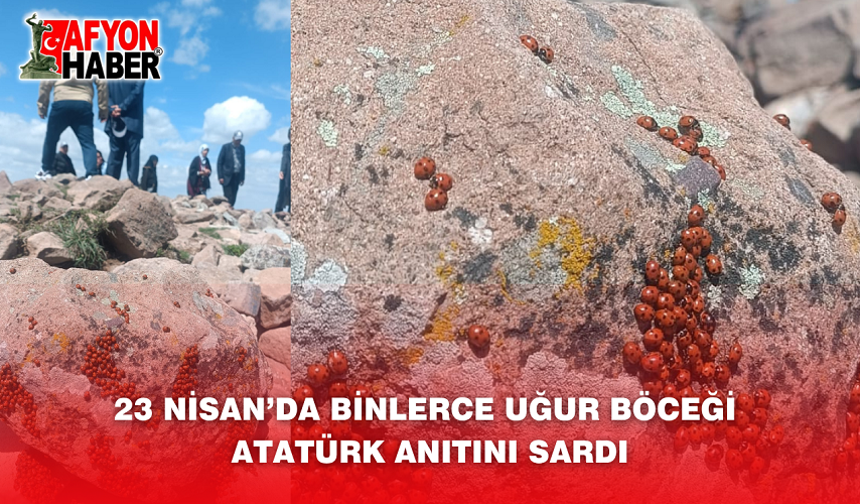 23 Nisan’da Binlerce Uğur Böceği Atatürk Anıtını Sardı