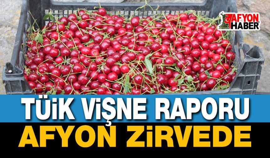 TÜİK Vişne Raporu: Afyon Zirvede