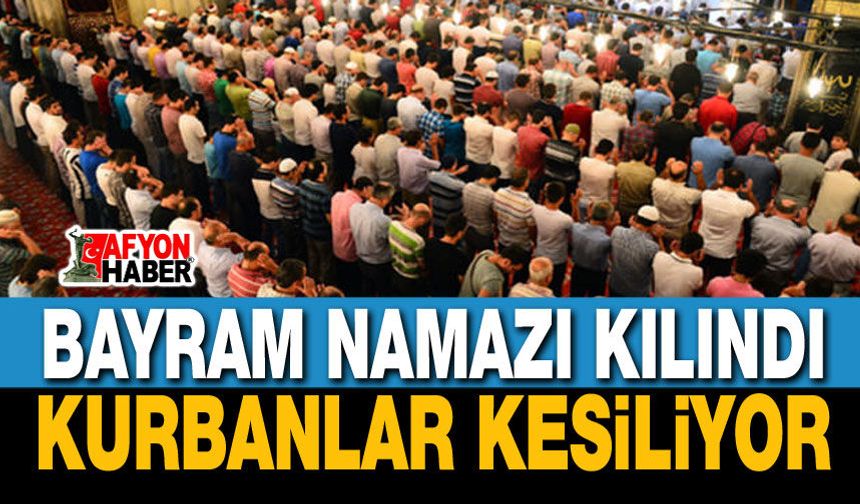 Bayram namazları kılındı, kurbanlar kesiliyor