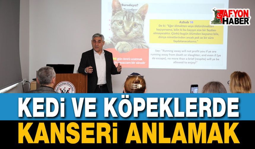 Kedi ve Köpeklerde Kanseri Anlamak