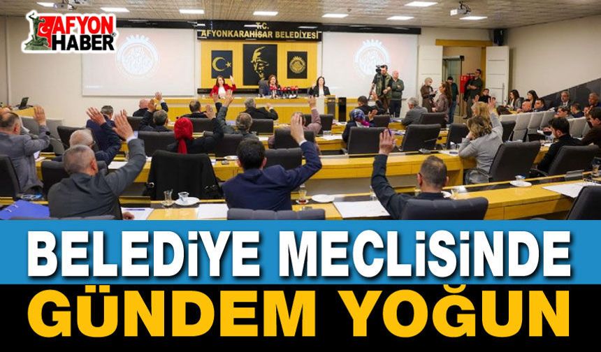 Belediye Meclisi 2 Haziran'da Toplanıyor