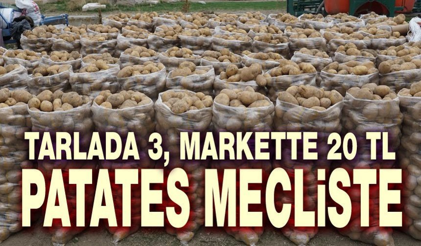 Patates olayı TBMM gündeminde!..