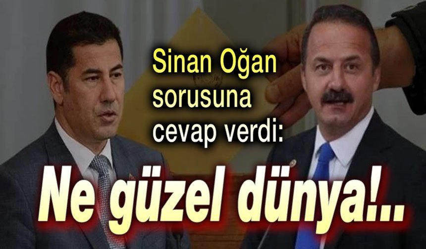 Sinan Oğan benzetmesine cevap verdi!..
