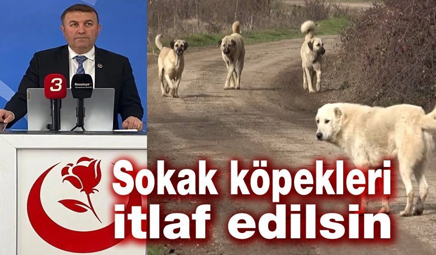 BBP'li Çağlar: Sokak köpekleri itlaf edilsin
