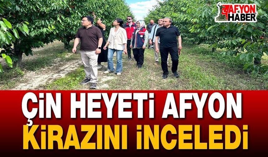 Çin Heyeti Afyonkarahisar Kirazını İnceledi