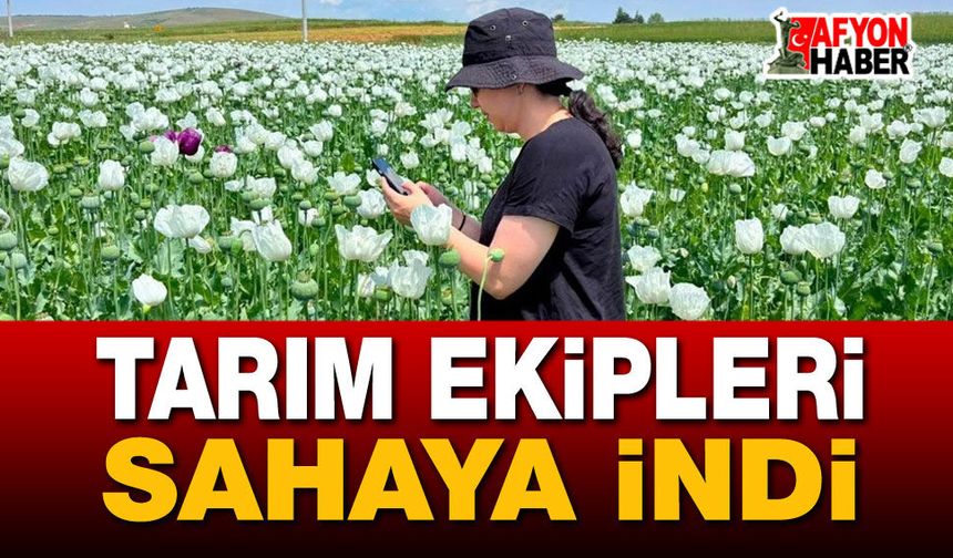 Tarım Ekipleri Sahaya İndi