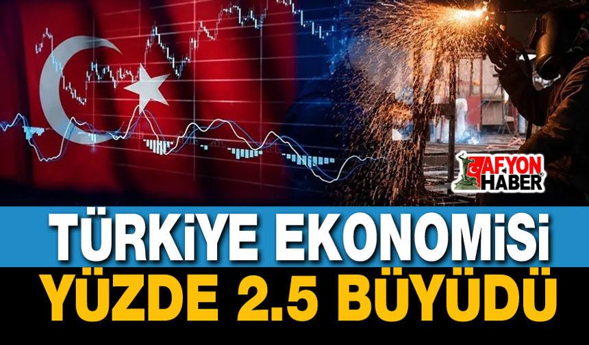 Türkiye ekonomisi ilk 3 ayda yüzde 2.5 büyüdü