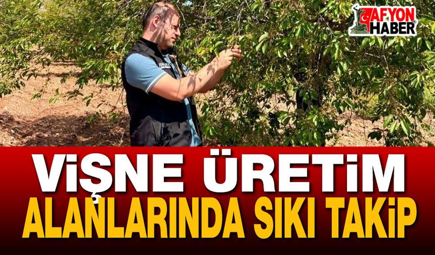 Vişne Üretim Alanlarında Sıkı Takip