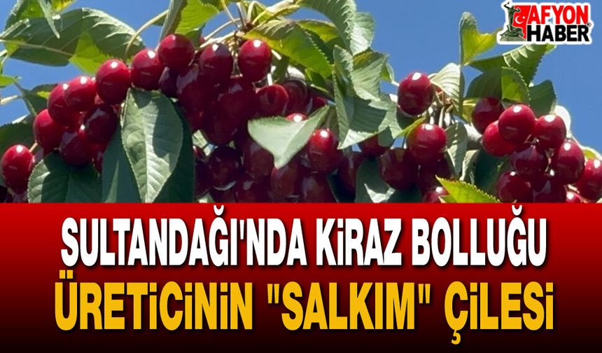 Sultandağı’nda Kiraz Hasadı: Bolluk Var, Kazanç Yok