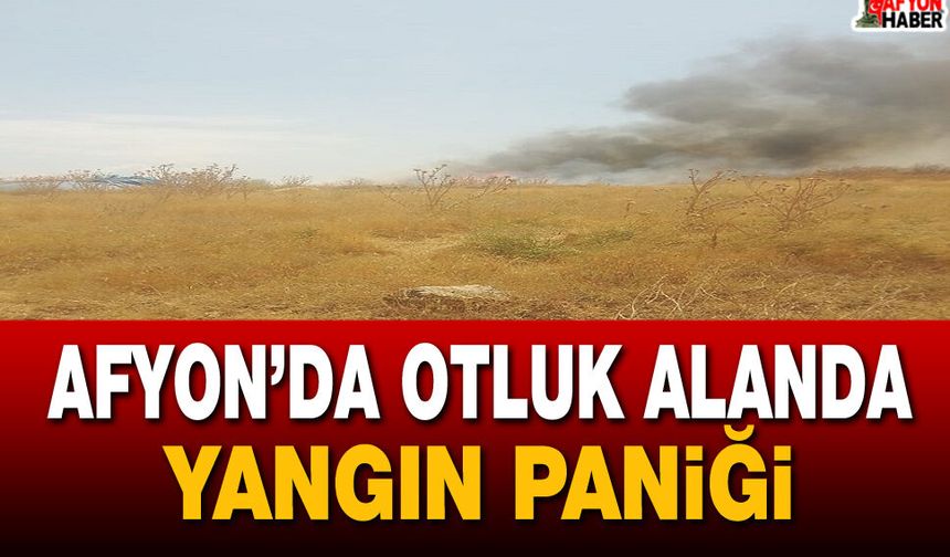 Afyon’da otluk alanda yangın paniği