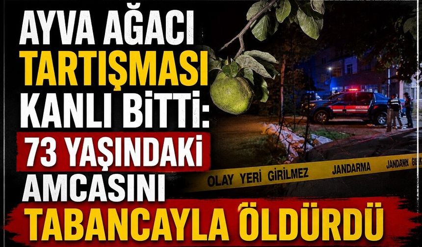 Ayva Ağacı Tartışması Kanlı Bitti! 73 Yaşındaki Amcasını Tabancayla Öldürdü