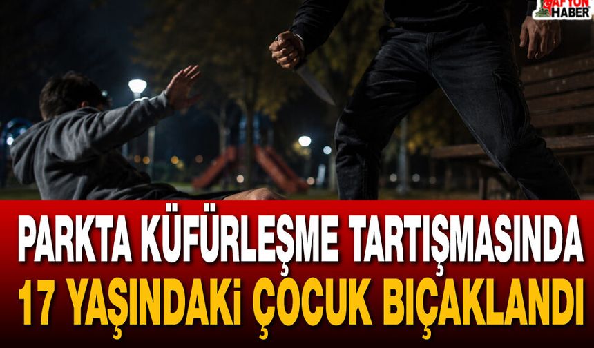 Parkta Küfürleşme tartışmasında 17 yaşındaki çocuk bıçaklandı