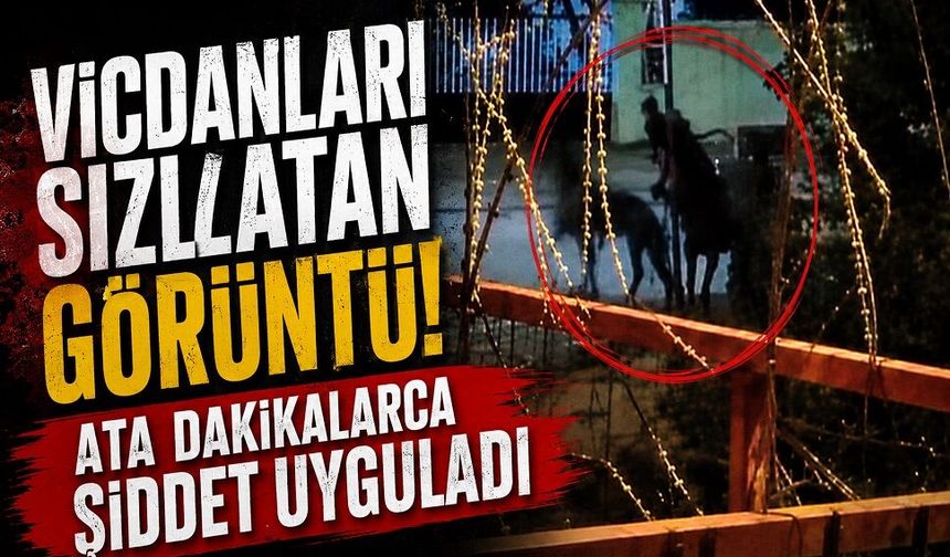 Vicdanları sızlatan görüntü! Ata dakikalarca şiddet uyguladı