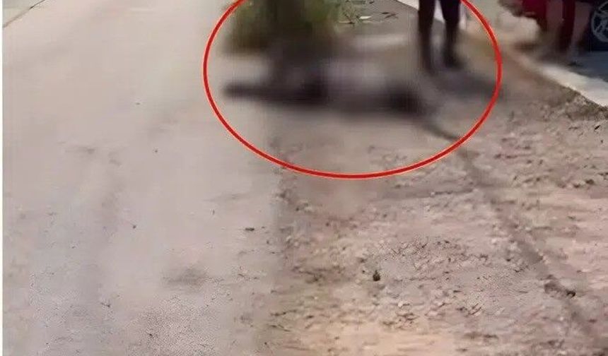 Yasak aşk iddiası kanlı bitti! Önce eniştesini, sonra eşini öldürdü