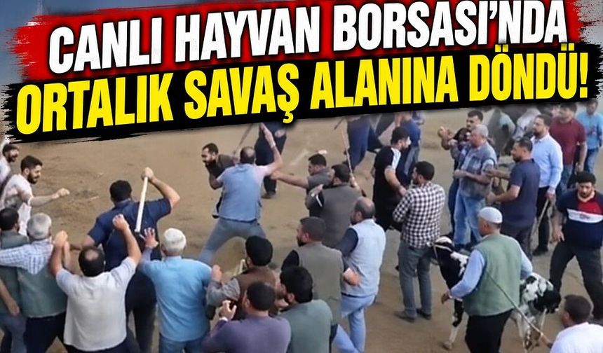 Canlı Hayvan Borsası’nda ortalık savaş alanına döndü!
