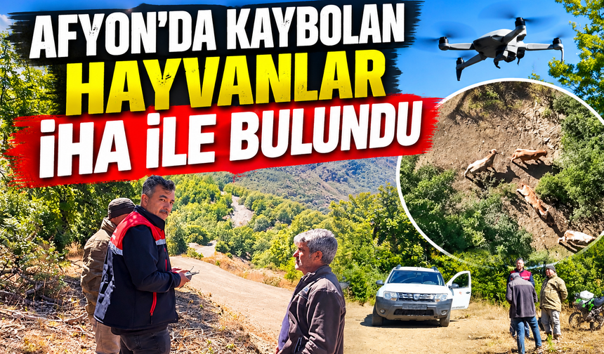 Afyon’da kaybolan hayvanlar İHA ile bulundu
