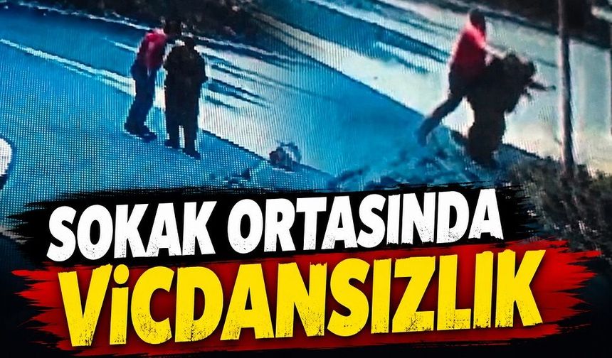 Sokak ortasında vicdansızlık