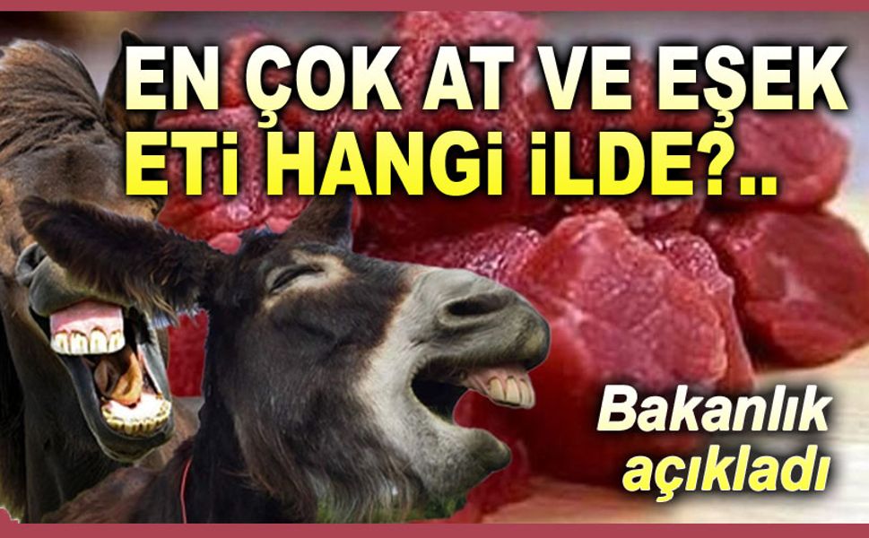 Ürünlerinde en çok at, eşek ve domuz eti bulunan şehirler!..