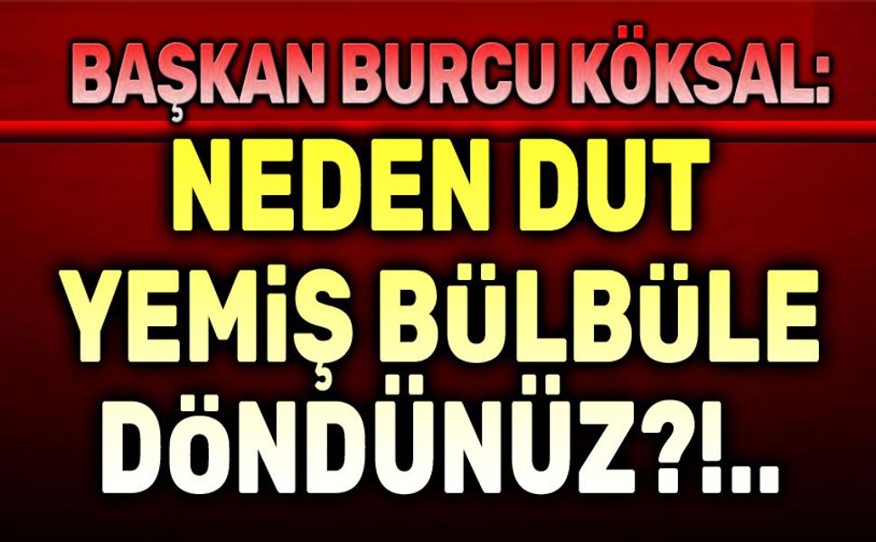 Burcu köksal: Neden dut yemiş bülbüle döndünüz!..